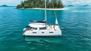 Pina Colada 40 - 5