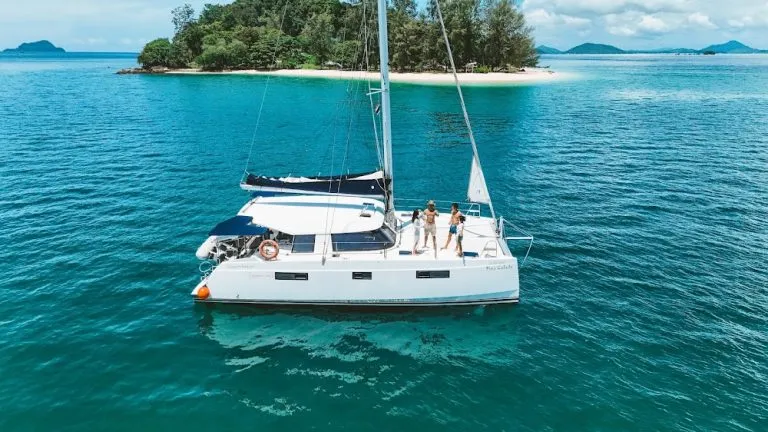 Pina Colada 40 - 5