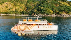 Scallobs 65