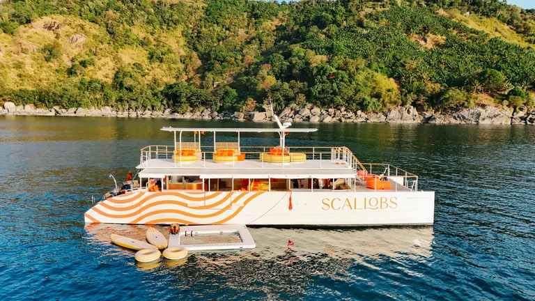 Scallobs 65