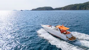 Sea Ray Sundancer 46 Vodka