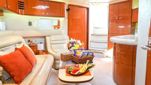 Sea Ray Sundancer 46 Vodka — lounge